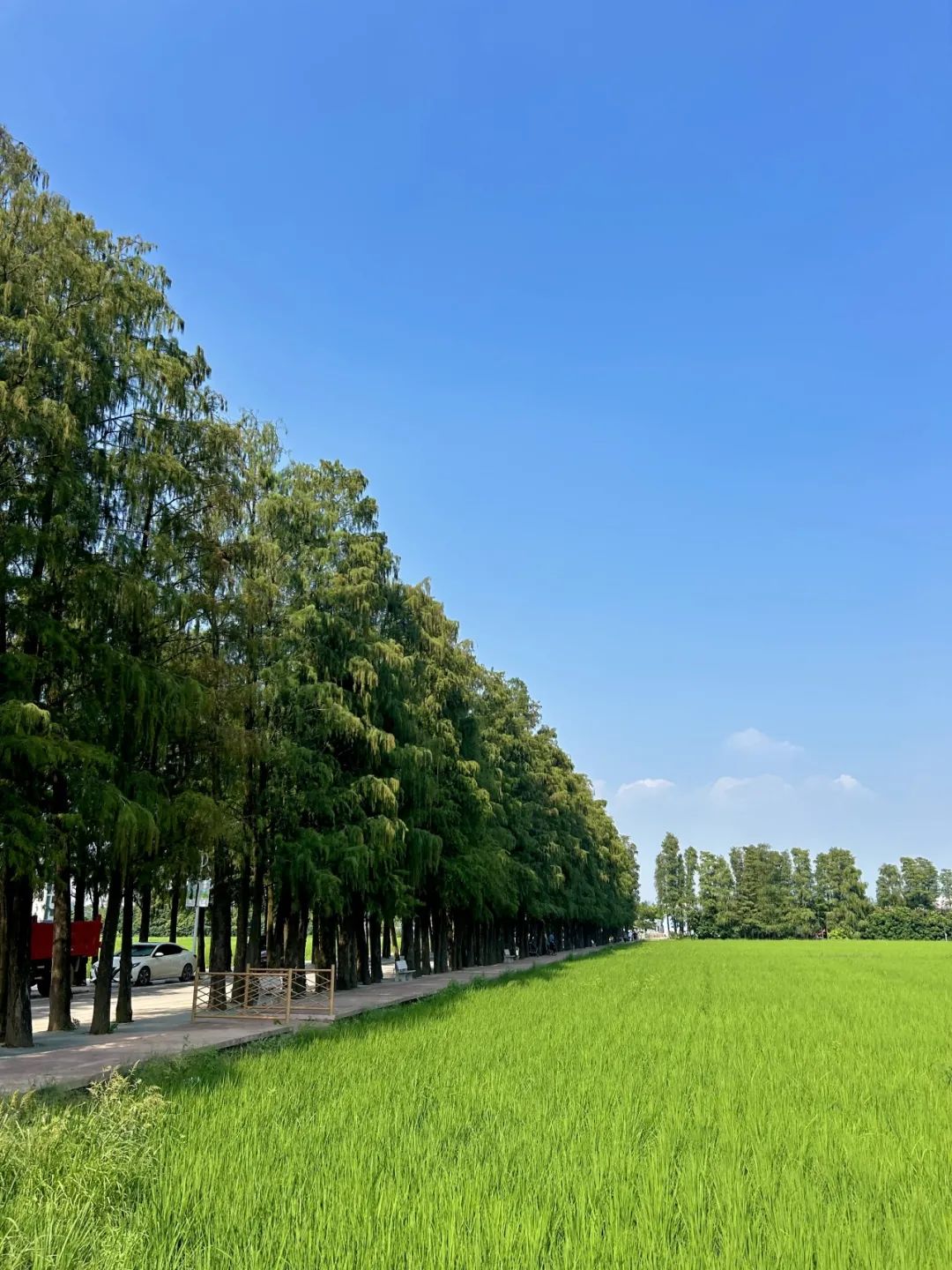 1732179698267828.jpg 67.jpg